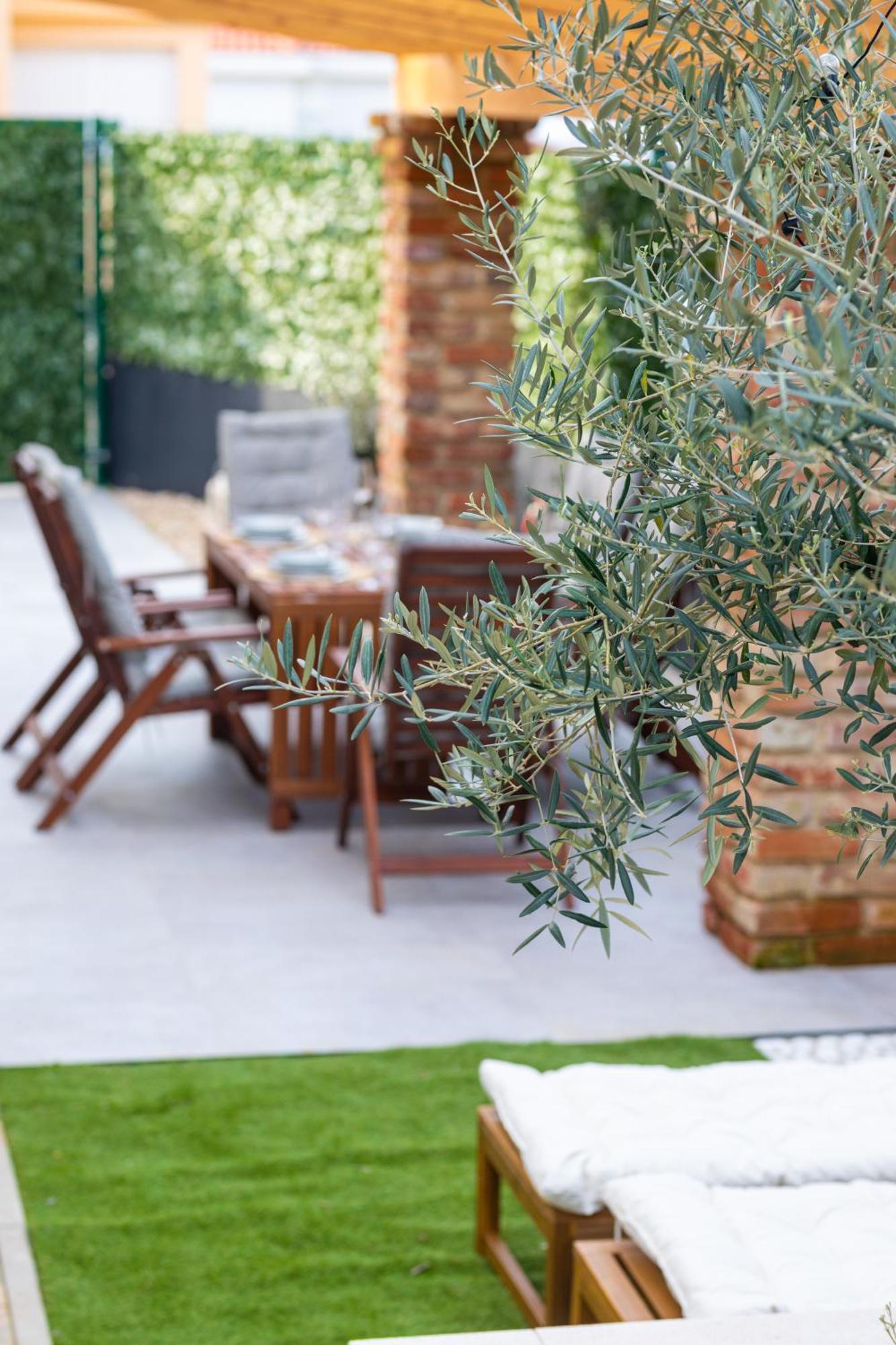 Apartment The Olive Tree *