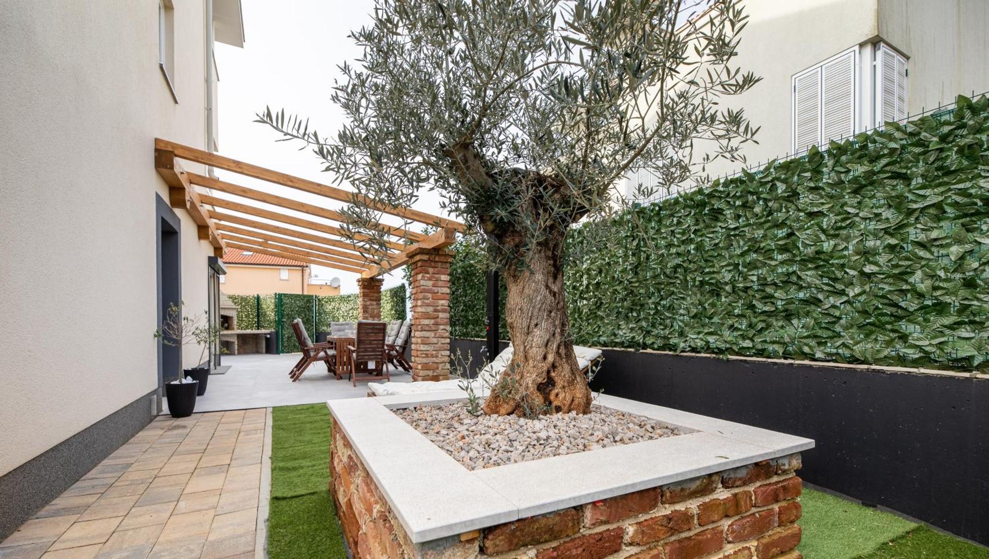 The Olive Tree Apartment *